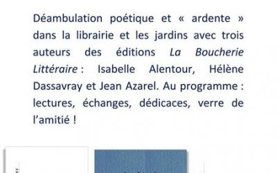 Le Bleuet Banon